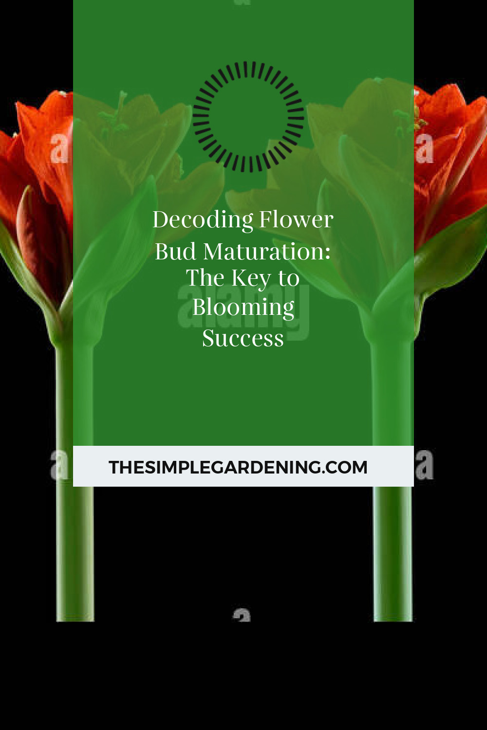 Decoding Flower Bud Maturation: The Key to Blooming Success